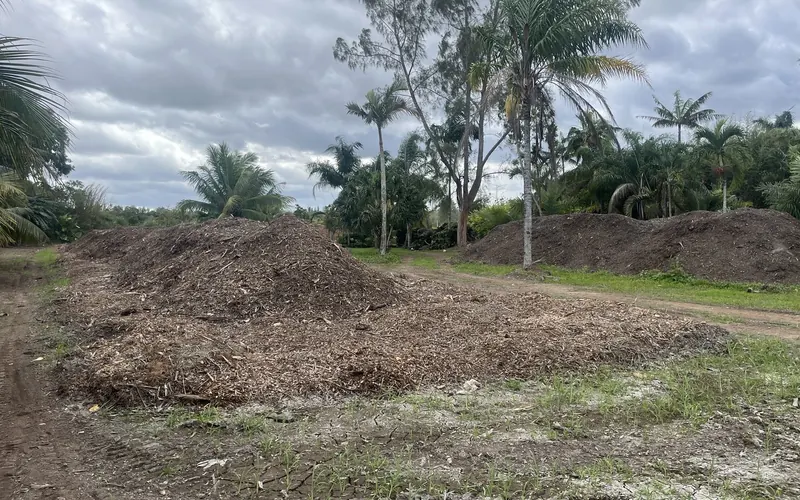 Compost windrows at an agricultural composting site