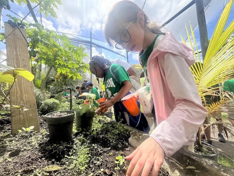 A student digging in the soil during a school field trip at the farm