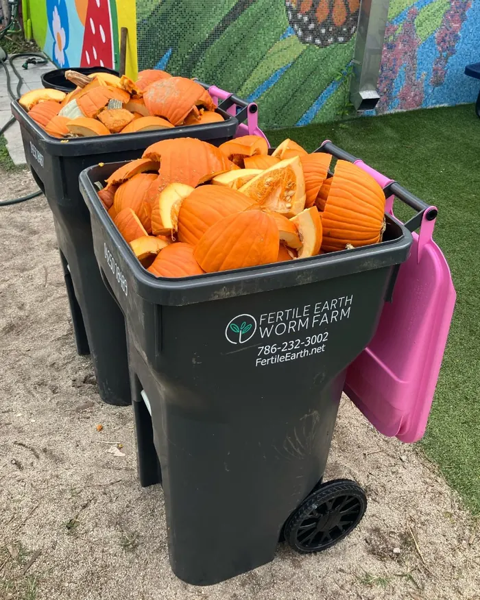 Fertile Earth toters full of pumpkins collected from Miami-Dade public schools