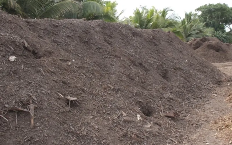 Compost windrows on a farm.