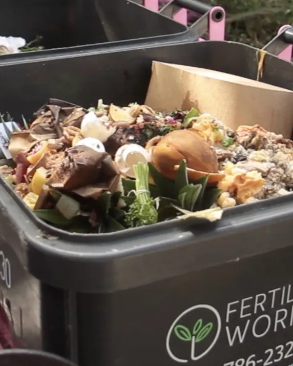 Food scraps collected in a Fertile Earth bin