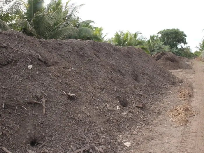Compost windrows in the field at Fertile Earth